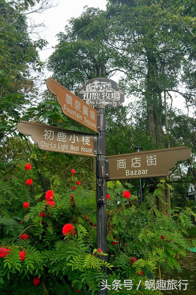 去台湾跟团游还是自由行,第一次去台湾跟团好还是自由行好