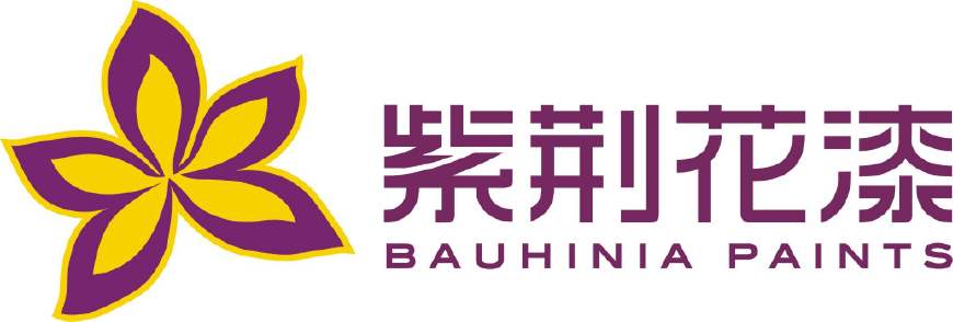 中国十大外墙漆,中国十大涂料是什么