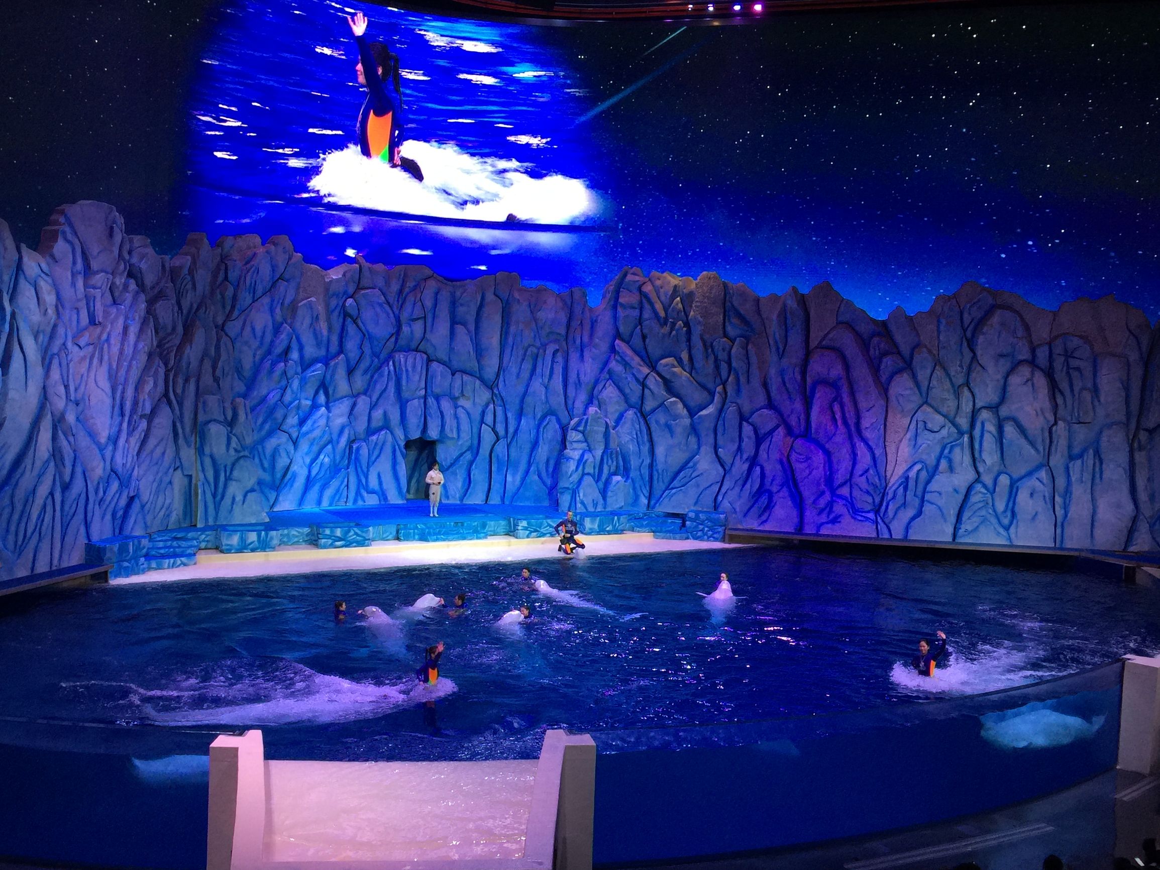 珠海长隆水上乐园亲子游攻略,珠海长隆企鹅酒店攻略亲子游