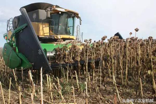葵花收割机价格,葵花自走收割机