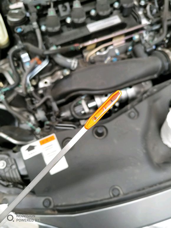 本田思域发动机烧机油,本田车出现烧机油怎么回事