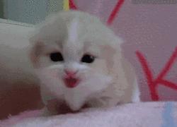 囧吐槽：看自己女朋友*裤内**怎么了