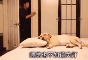 囧吐槽：看自己女朋友*裤内**怎么了