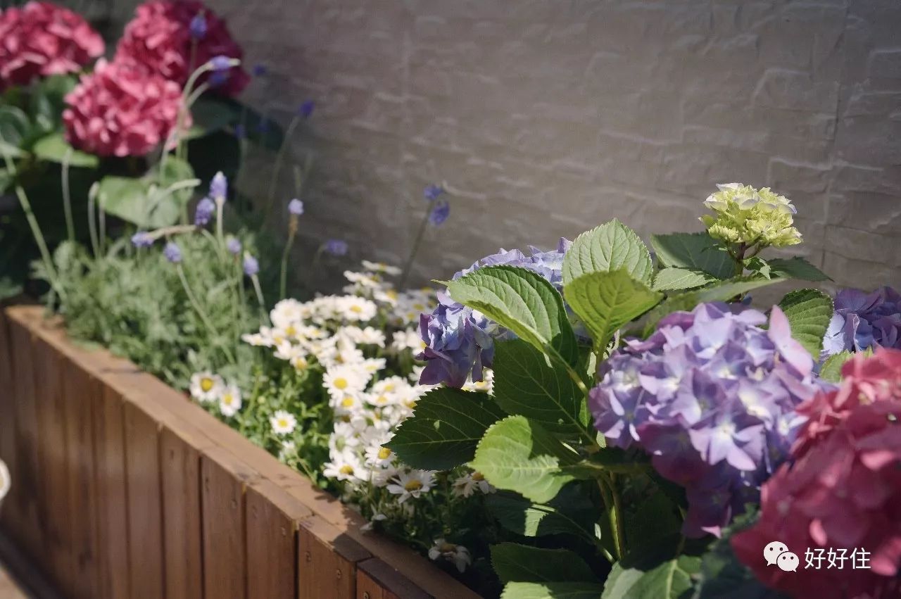 瞬间被种草这台吸尘器值得推荐,被种草的101件好物