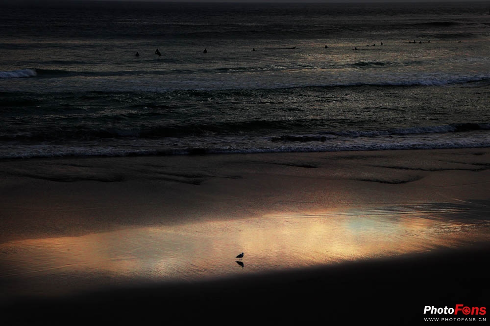 eos相机6d,微单相机eosm6ii