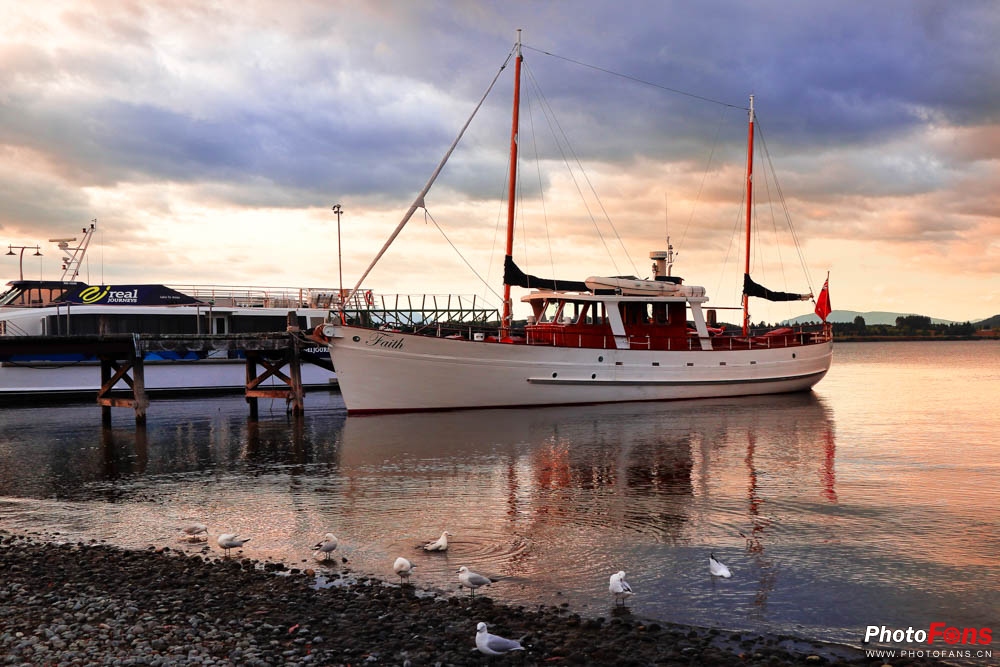 eos相机6d,微单相机eosm6ii