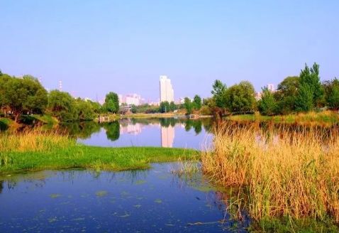 2019年郑州有什么大事,2020年郑州大事回顾