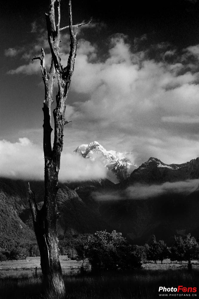 eos相机6d,微单相机eosm6ii