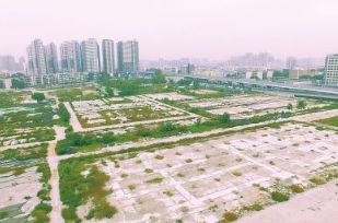 2019年郑州有什么大事,2020年郑州大事回顾