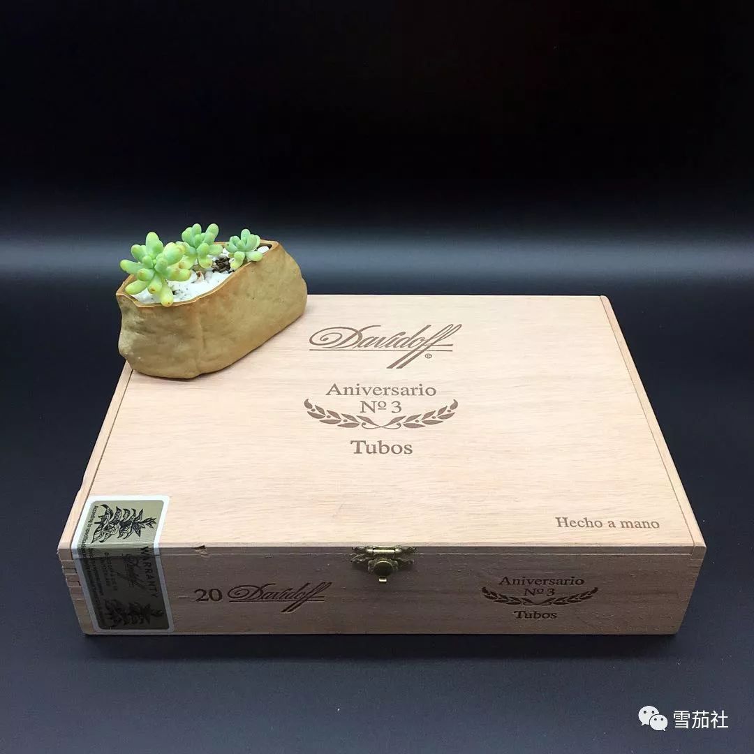 抽雪茄如何避免头晕恶心,抽雪茄晕吐怎么解决