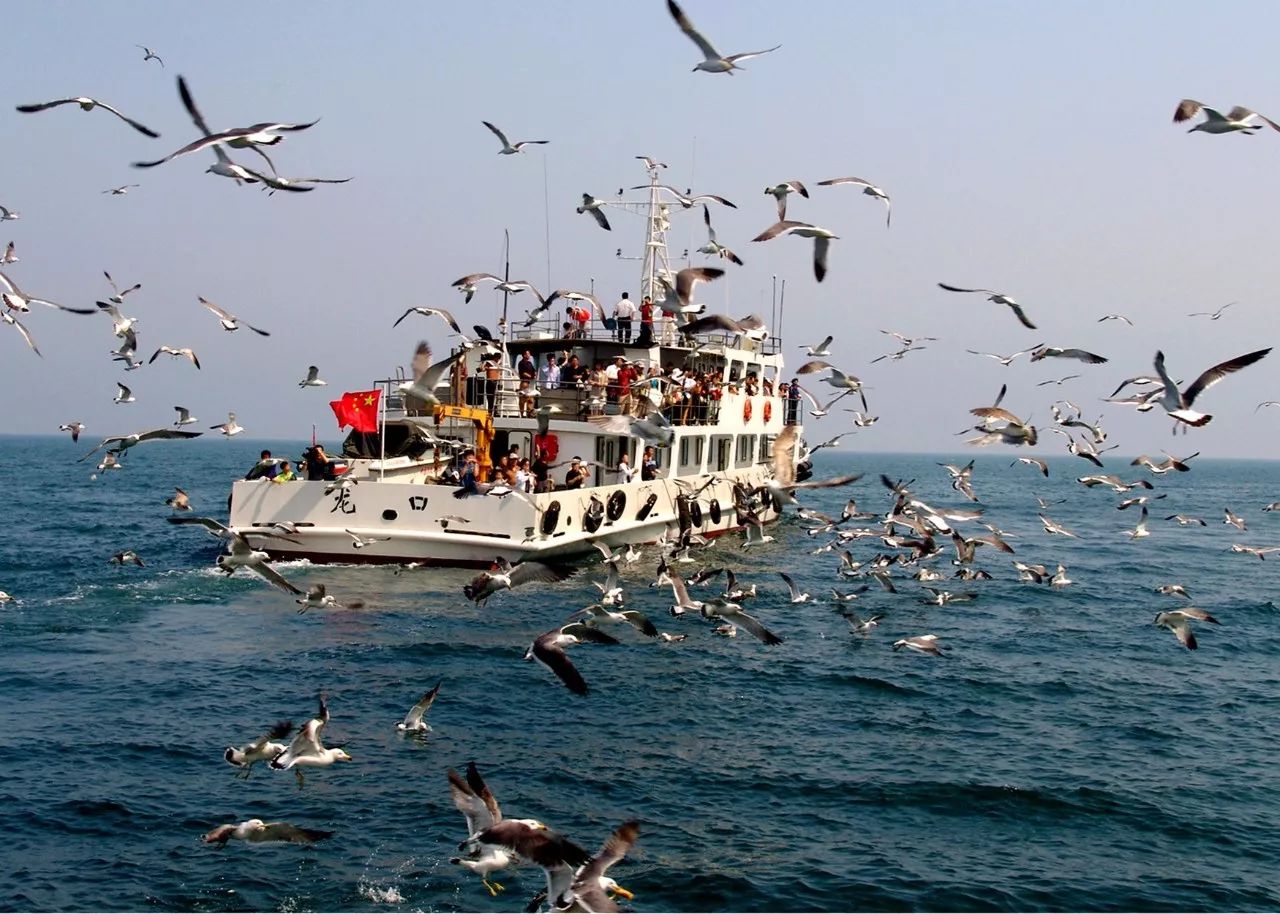 浠欏娴峰哺榄呭姏鐗熷钩,鐑熷彴闀垮矝娴蜂笂椋庡厜