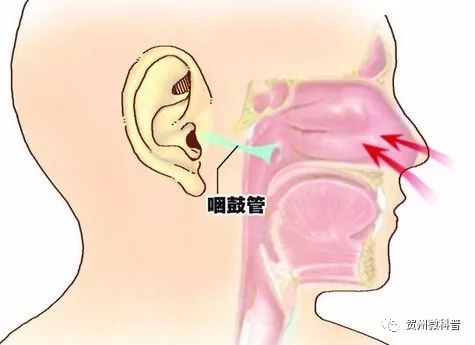 想打喷嚏别忍着，伤了鼓膜划不来！