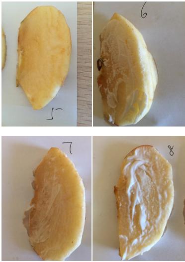 宝宝面霜推荐老爸评测松达,爱得利宝宝面霜测评