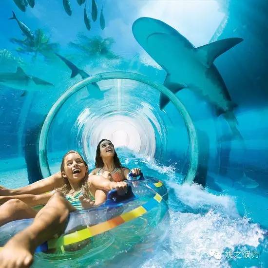 日本雅马哈公司,雅马哈奇葩发展史