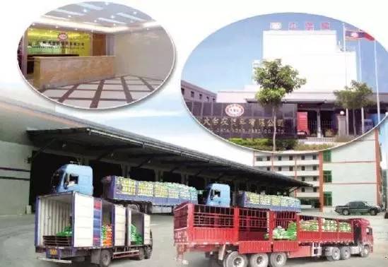 大台农芒果卖点,大台农饲料利润