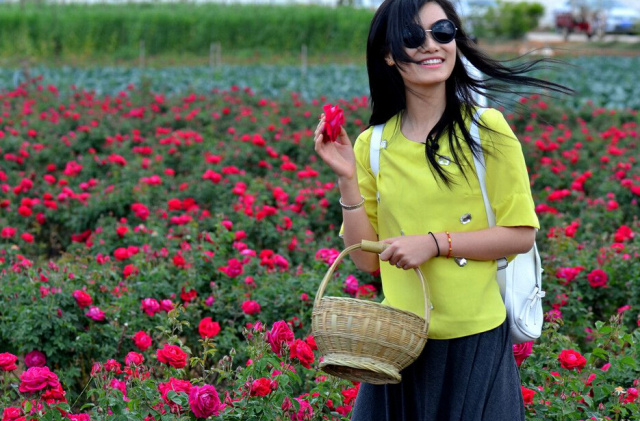 云南玫瑰基地攻略,伟大的五一