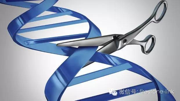 火视201|继手术、放疗和化疗后，细胞免疫治疗有望成为肿瘤治疗的下一座金矿！