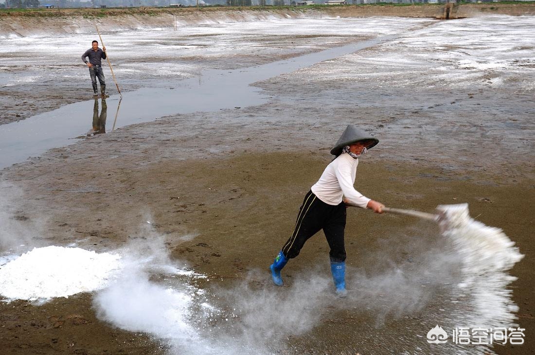 生石灰加水生活中的用途,生石灰对农业的用途有哪些