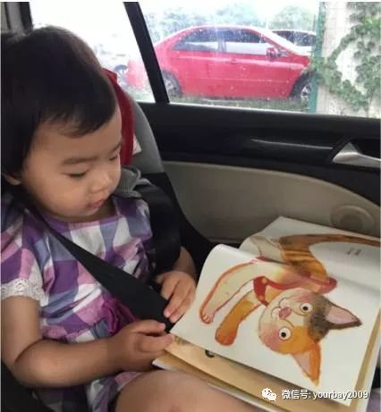 当熊孩子遇上不同人,当熊孩子遇上熊动物完整版