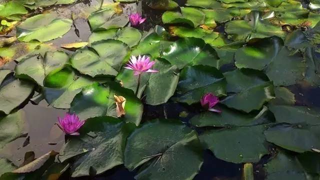 五一出行100分推荐，人少景美文艺到爆