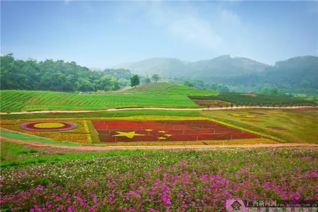 从茂名至广西一日游攻略,广西一日游攻略