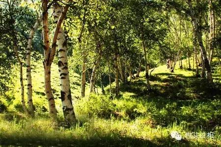 包头空气清新的地方,包头五一游玩好去处