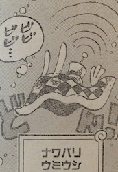 已验证·最新海贼王825话文字完整版：山治的哥哥也是卷眉