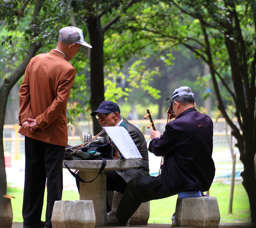 在合肥生活的感悟,在合肥生活的神奇体验