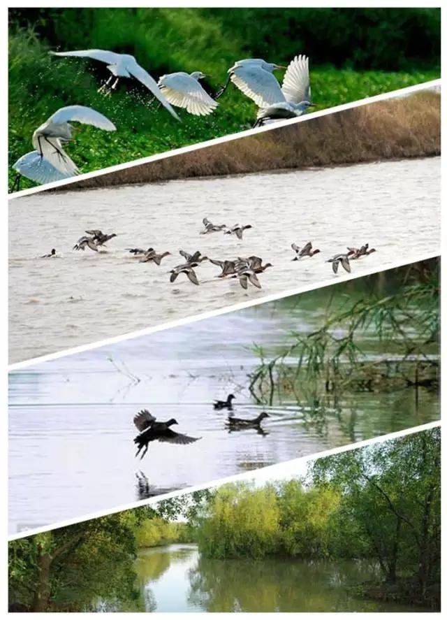 从a到z的26个拼音,从a到z的26个字母自然拼读