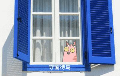 新手养猫指南铲屎官必看,铲屎官需要知道45条养猫知识科普