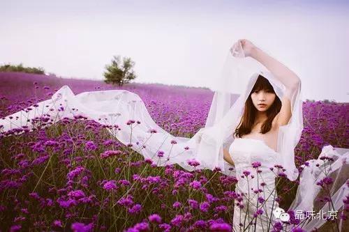 北京有哪些适合拍婚纱的好地方,北京哪家婚纱摄影有外景基地