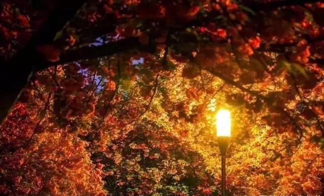 忆青春：在中国科学技术大学就读是怎样一种体验？