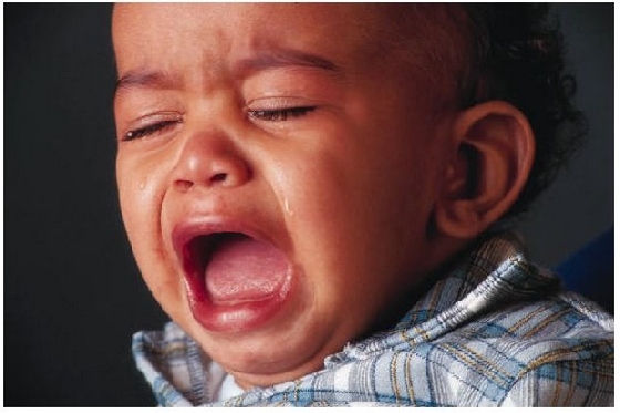 宝宝哭闹不休怎么办？爸爸咬掉儿子的鼻子
