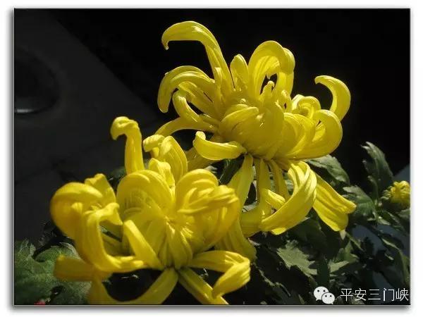 追忆史军锋:逝者安息,生者前行!