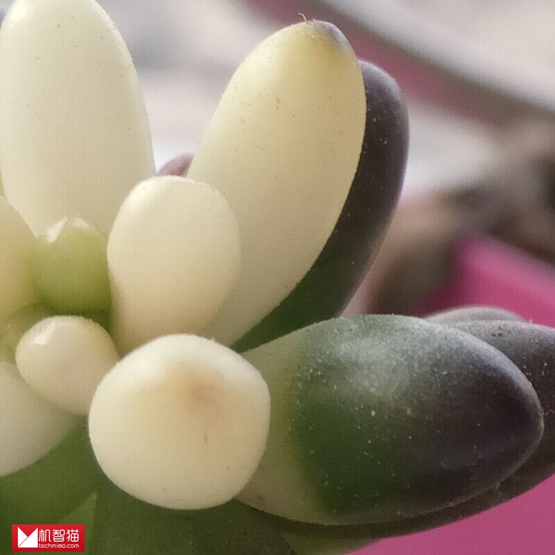 乐视乐2pro评测,乐视手机乐2性能