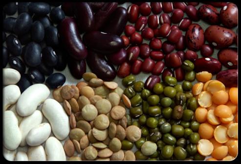 头发又少又油又塌,头发稀少吃什么补回来