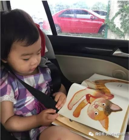 当熊孩子遇上不同人,当熊孩子遇上熊动物完整版