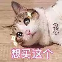 1000到2000轻奢包包推荐,1000左右的轻奢包都有哪些品牌