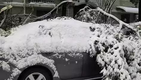 天气寒冷爱车冻住了怎么办,下雪车被冻住最快解决方案