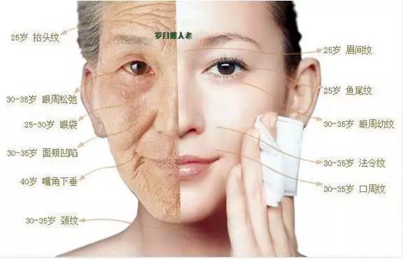 延缓衰老最好的针,针灸治疗抗衰老的教学视频