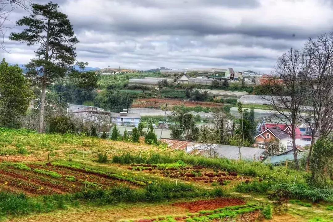 越南富国岛亲子游,越南哪里适合亲子游