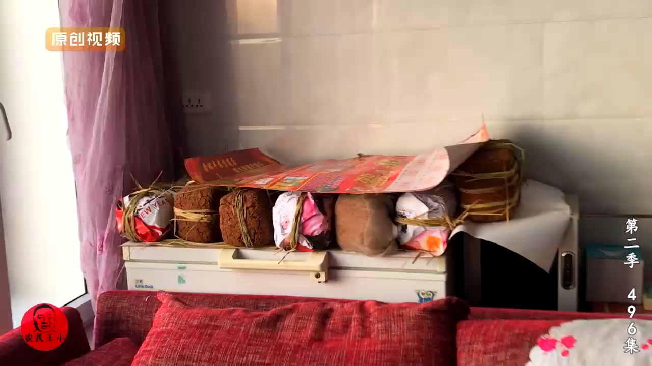 农民王小老妈美食,农民王小老妈给全家做饭