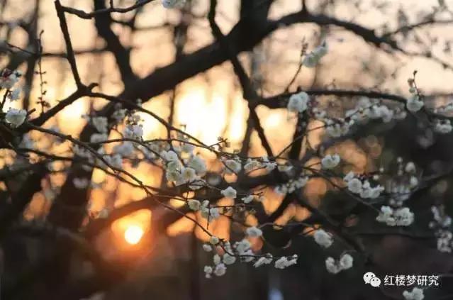 疏是枝条艳是花春妆儿女竞奢华,春妆儿女竞奢华