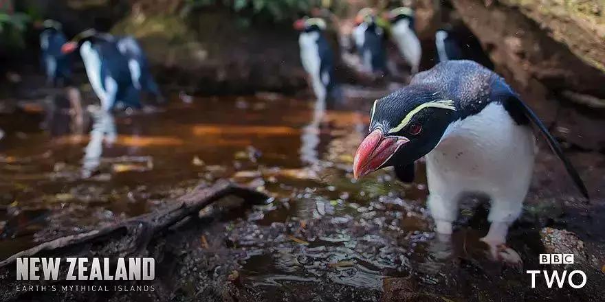 必看bbc10部地理纪录片,bbc十部顶级纪录片