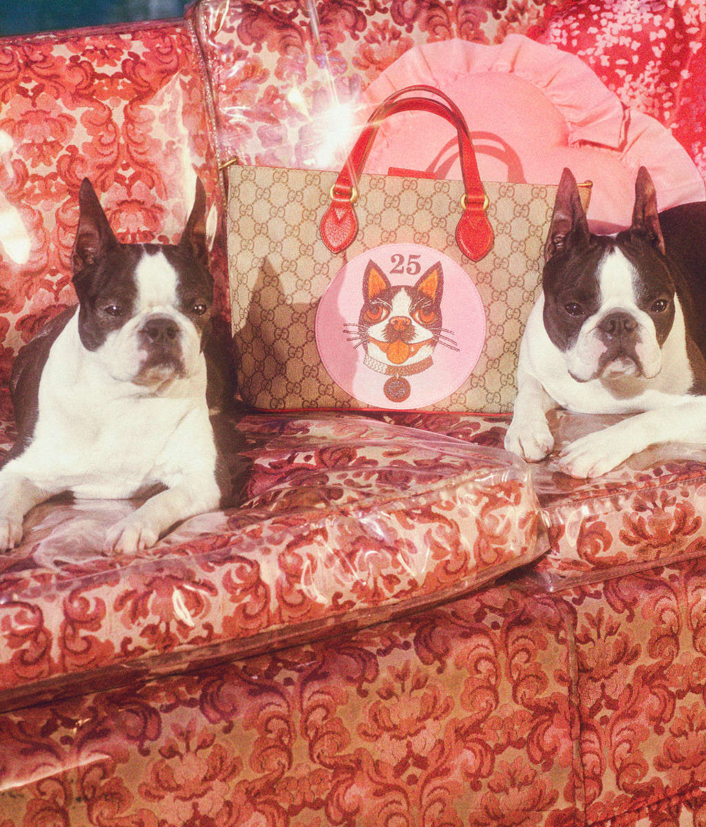 gucci古驰新款上市,gucci古驰