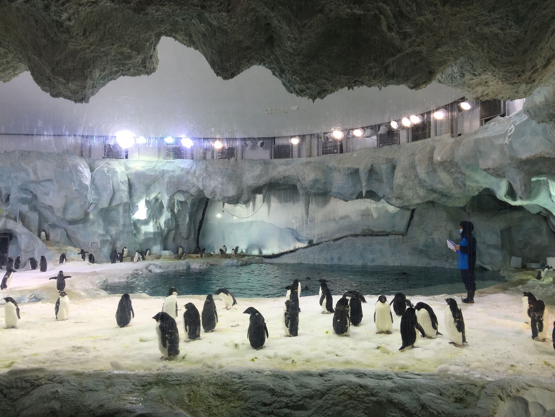 珠海长隆水上乐园亲子游攻略,珠海长隆企鹅酒店攻略亲子游