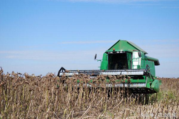葵花收割机价格,葵花自走收割机