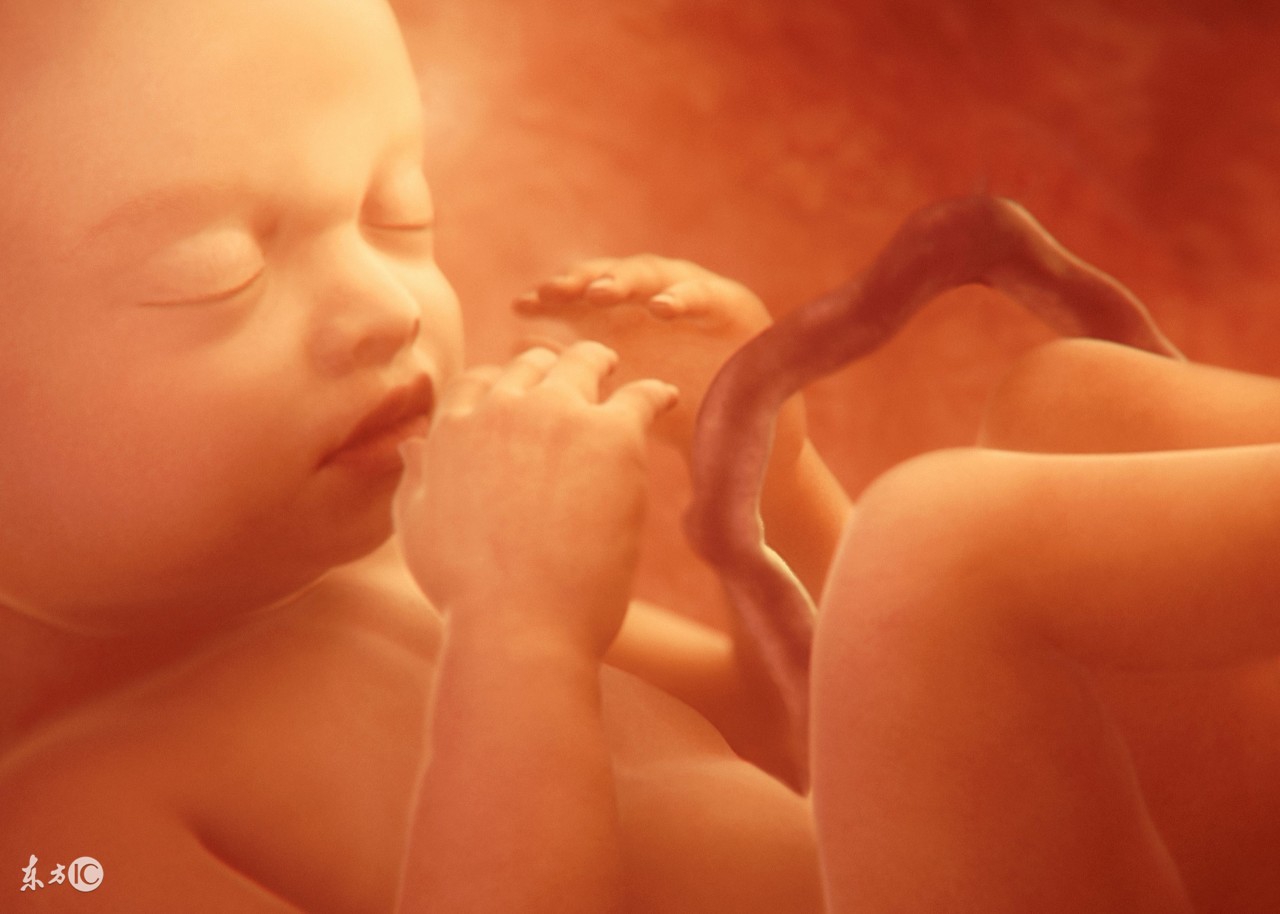 孕早期做白带检查对胎儿有影响么,准妈妈检查身体要关注什么