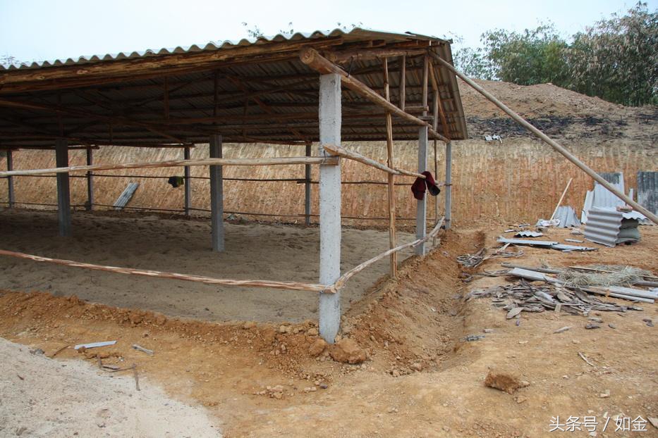 发酵床死床了怎么恢复？需要重头制作吗？