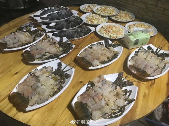 2017年工作总结视频,年终总结收获与展望